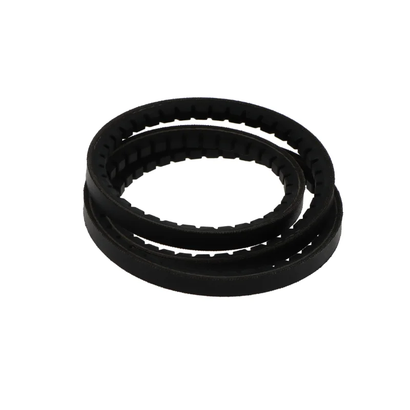 rotall-kugellagershop202605090759513052885