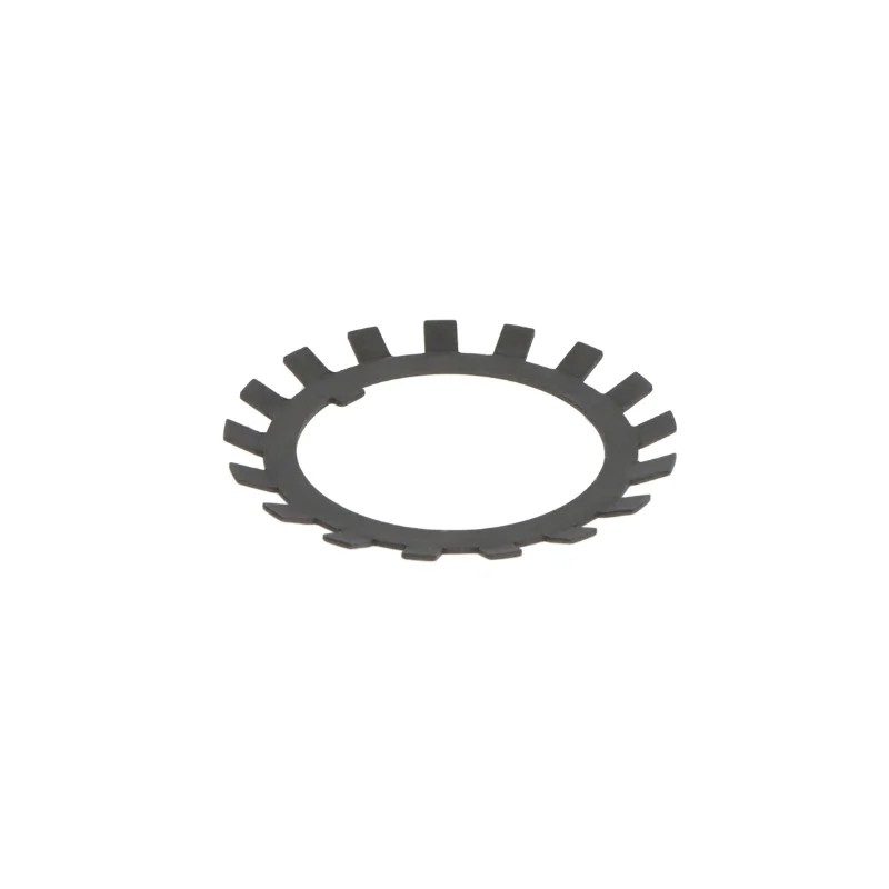 rotall-kugellagershop202605091344163111271